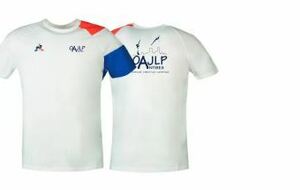 TEE SHIRT TRICOLORE OAJLP LE COQ SPORTIF